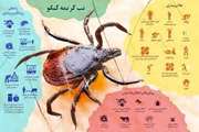 توصیه های بهداشتی دامپزشکی برای پیشگیری از بیماری تب خونریزی کریمه کنگو به شهروندان